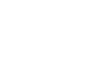 BIZUM